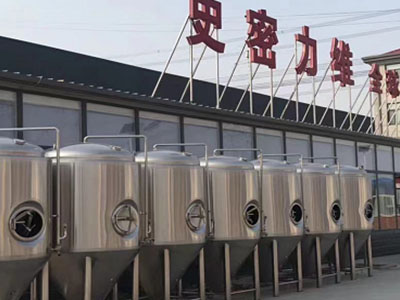 乌兰精酿啤酒设备厂—市场规模与跨界新需求